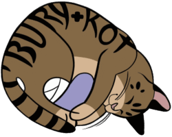 Przychodnia Weterynaryjna Bury Kot